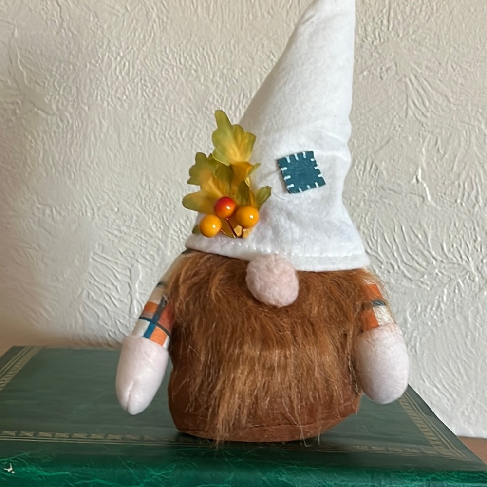 Fall Season Gnome, 10”T, NWOT.